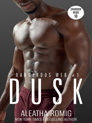cover image of Dusk